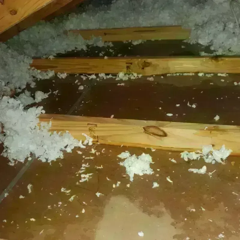 Attic Water Damage in Moscow Mills, MO